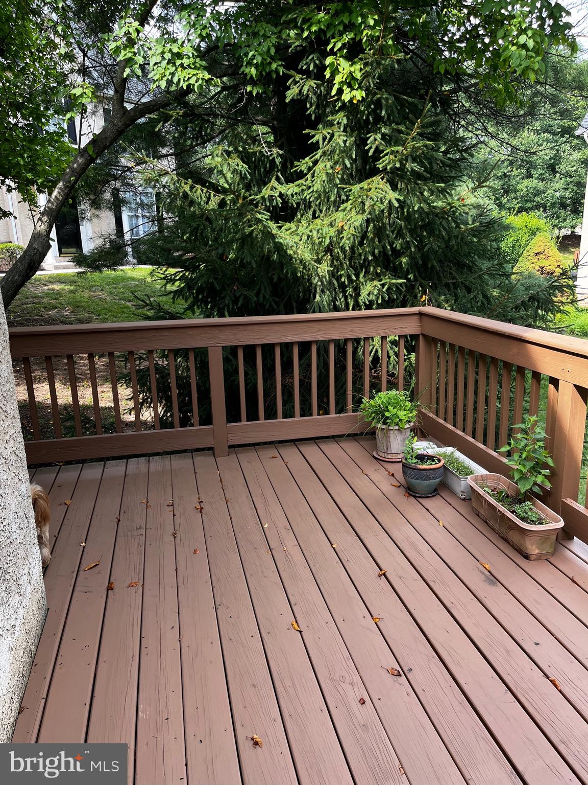 388 Hobson Place Blue Bell, PA 19422 - Photo 25 of 28 Deck off living room
