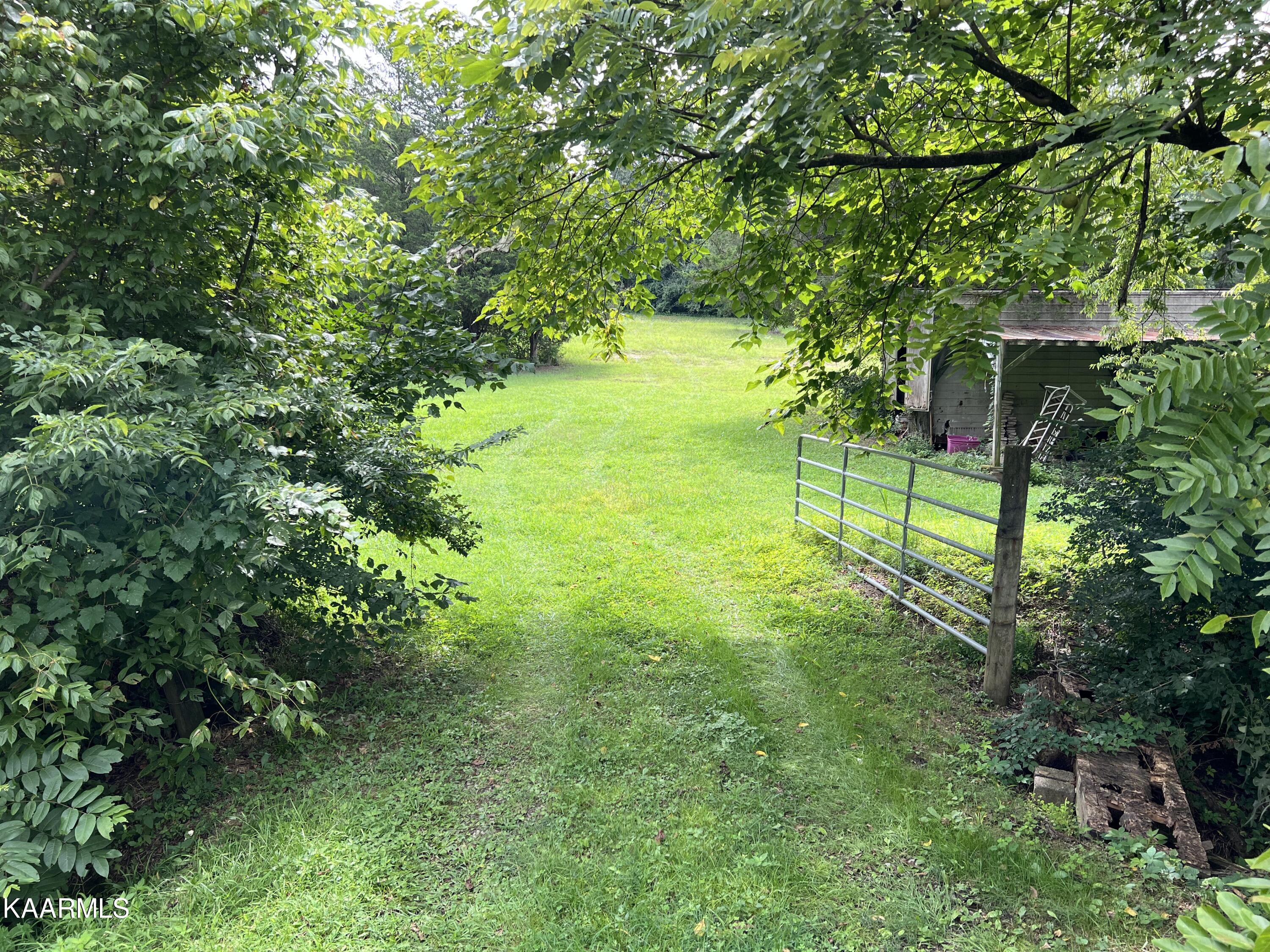 2843 Ellejoy Road Walland, TN 37886 - Photo 6 of 18 96E42D2E-2327-44EB-8658-2D6D81A20D2B
