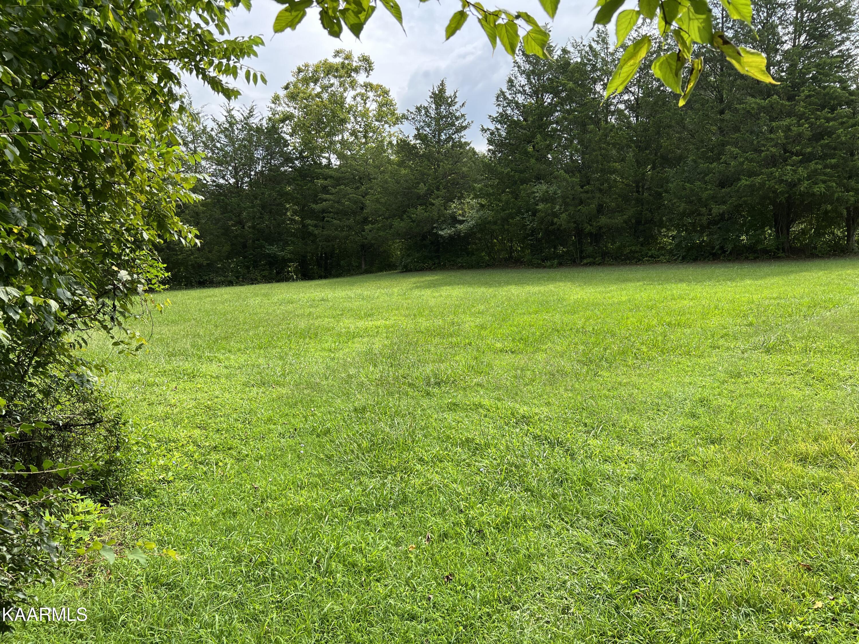 2843 Ellejoy Road Walland, TN 37886 - Photo 8 of 18 9400FBF5-BC75-4B02-A780-67769DBF2978