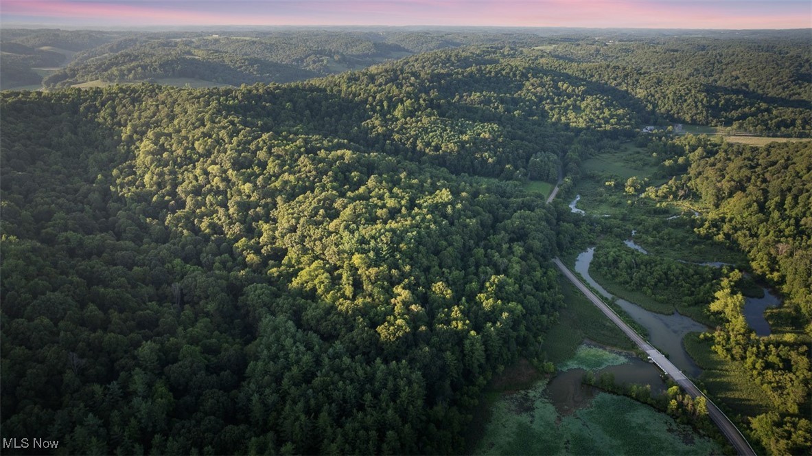 36900 Lower Clearfork Road Scio, OH 43988 - Photo 23 of 26 Aerial view at dusk of a view of trees