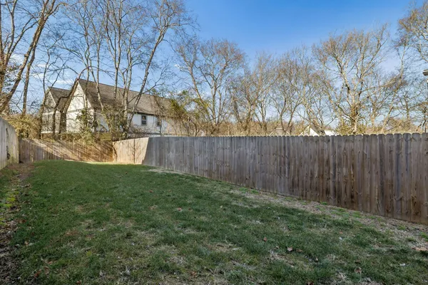 a view of backyard with tree