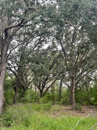 $115,000 | 15708 Sea Eagle Drive, Perry, FL 32348