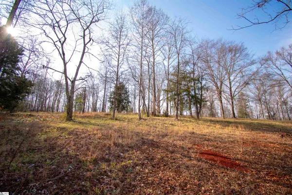 $300,000 | 0 Wofford Road, Woodruff, SC 29388
