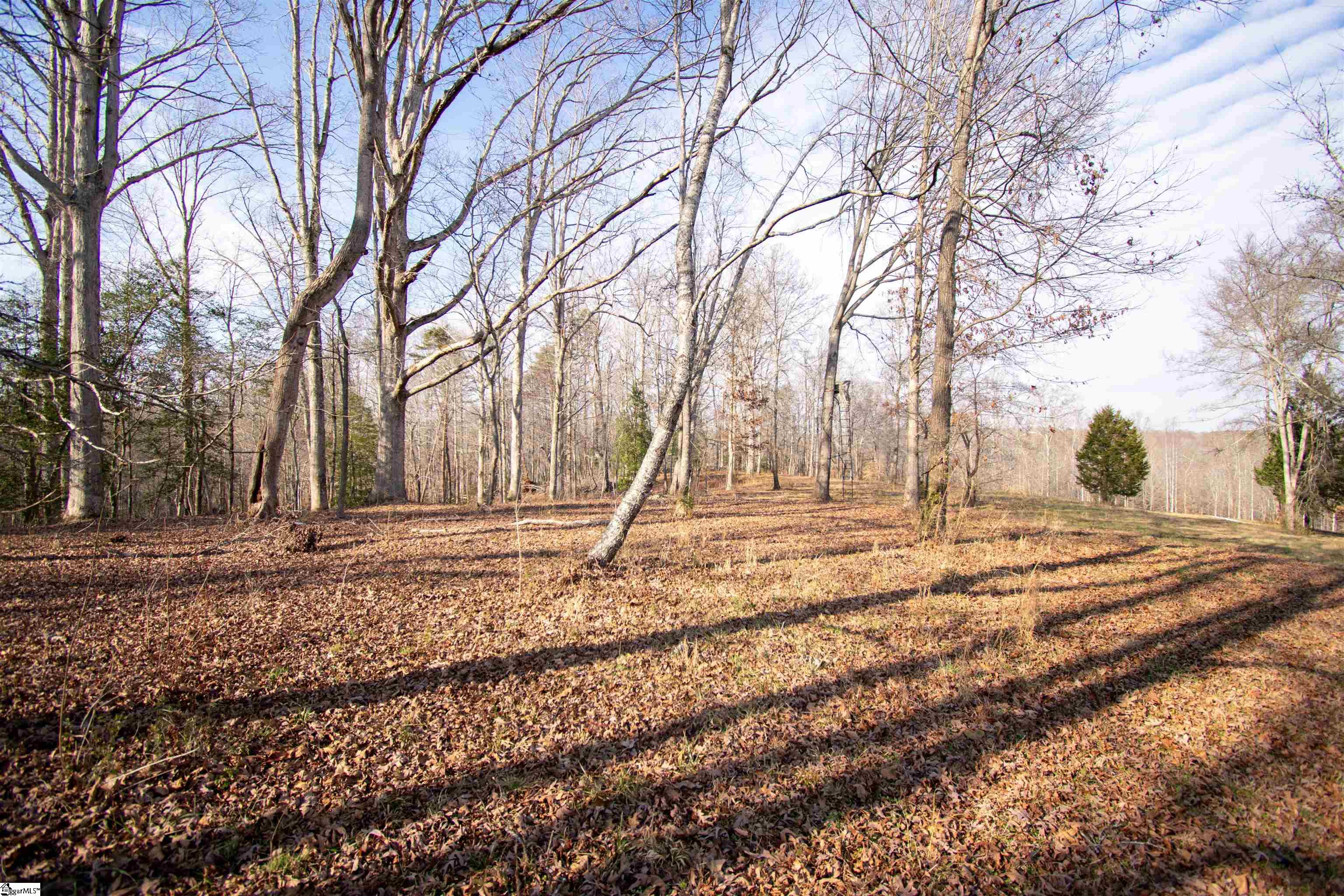 0 Wofford Road Woodruff, SC 29388 - Photo 2 of 7