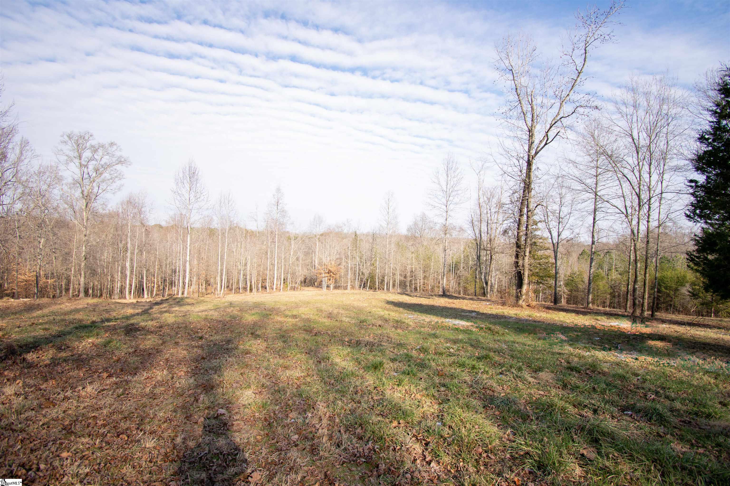 0 Wofford Road Woodruff, SC 29388 - Photo 3 of 7