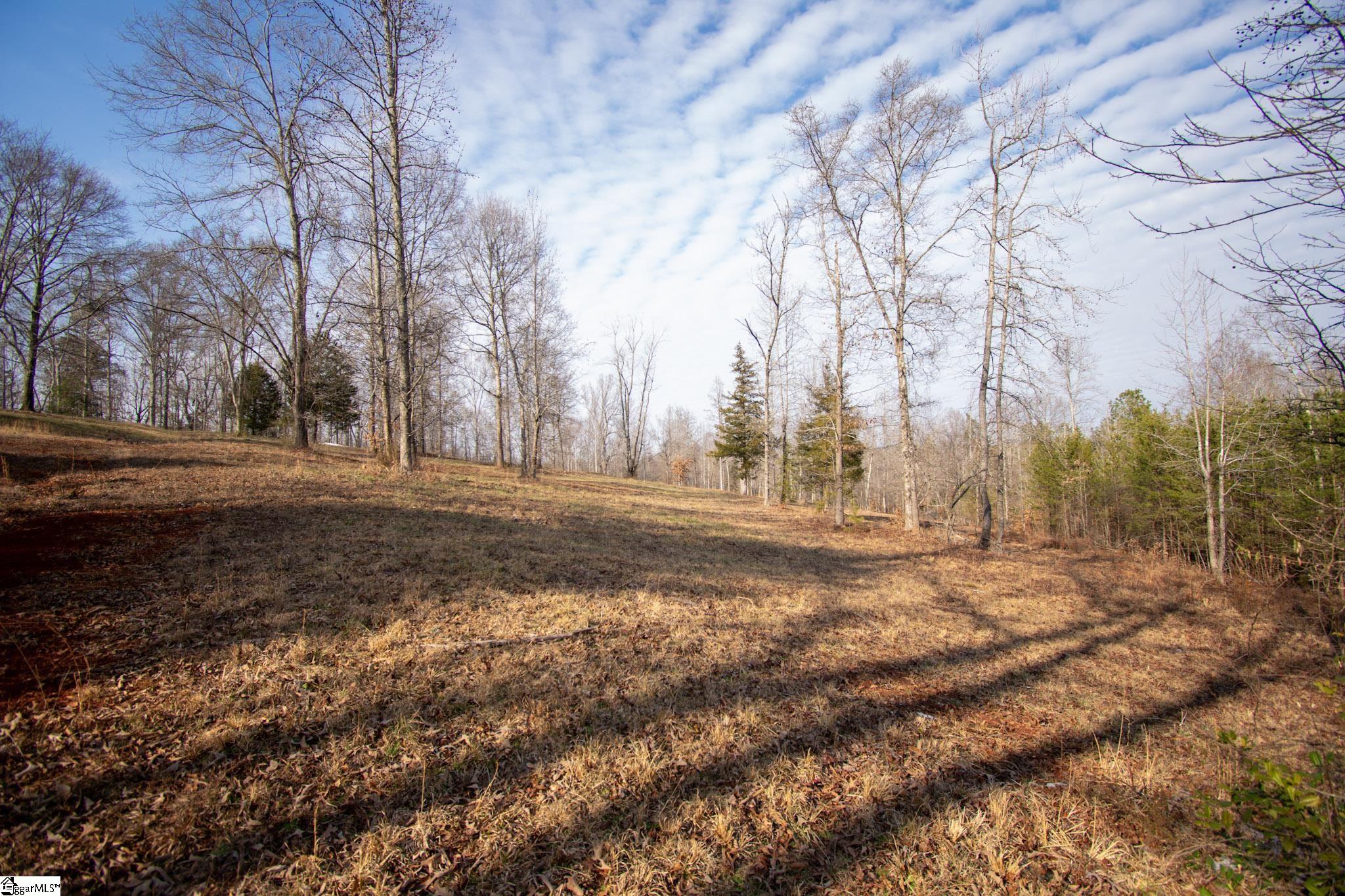 0 Wofford Road Woodruff, SC 29388 - Photo 5 of 7