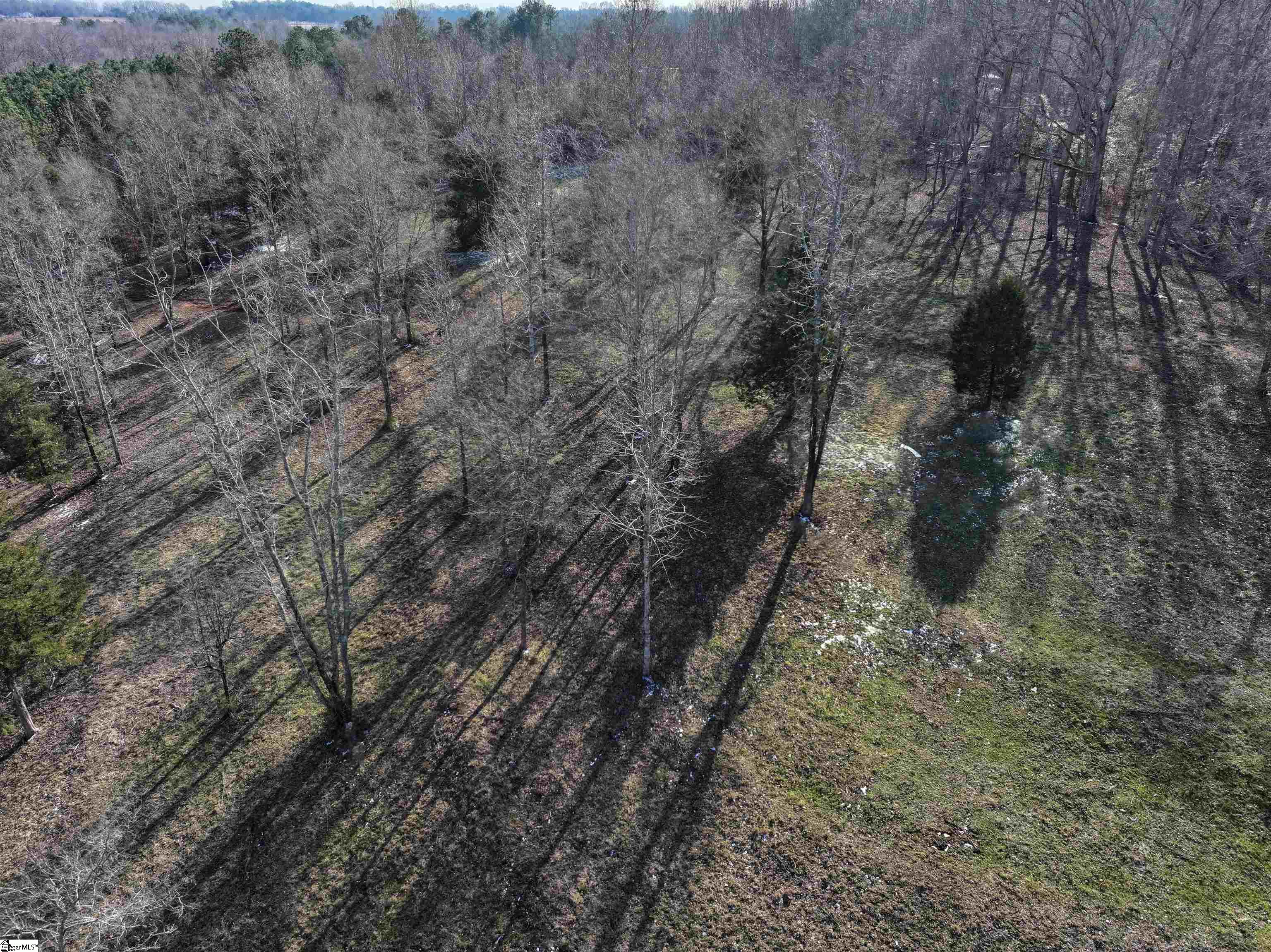 0 Wofford Road Woodruff, SC 29388 - Photo 6 of 7