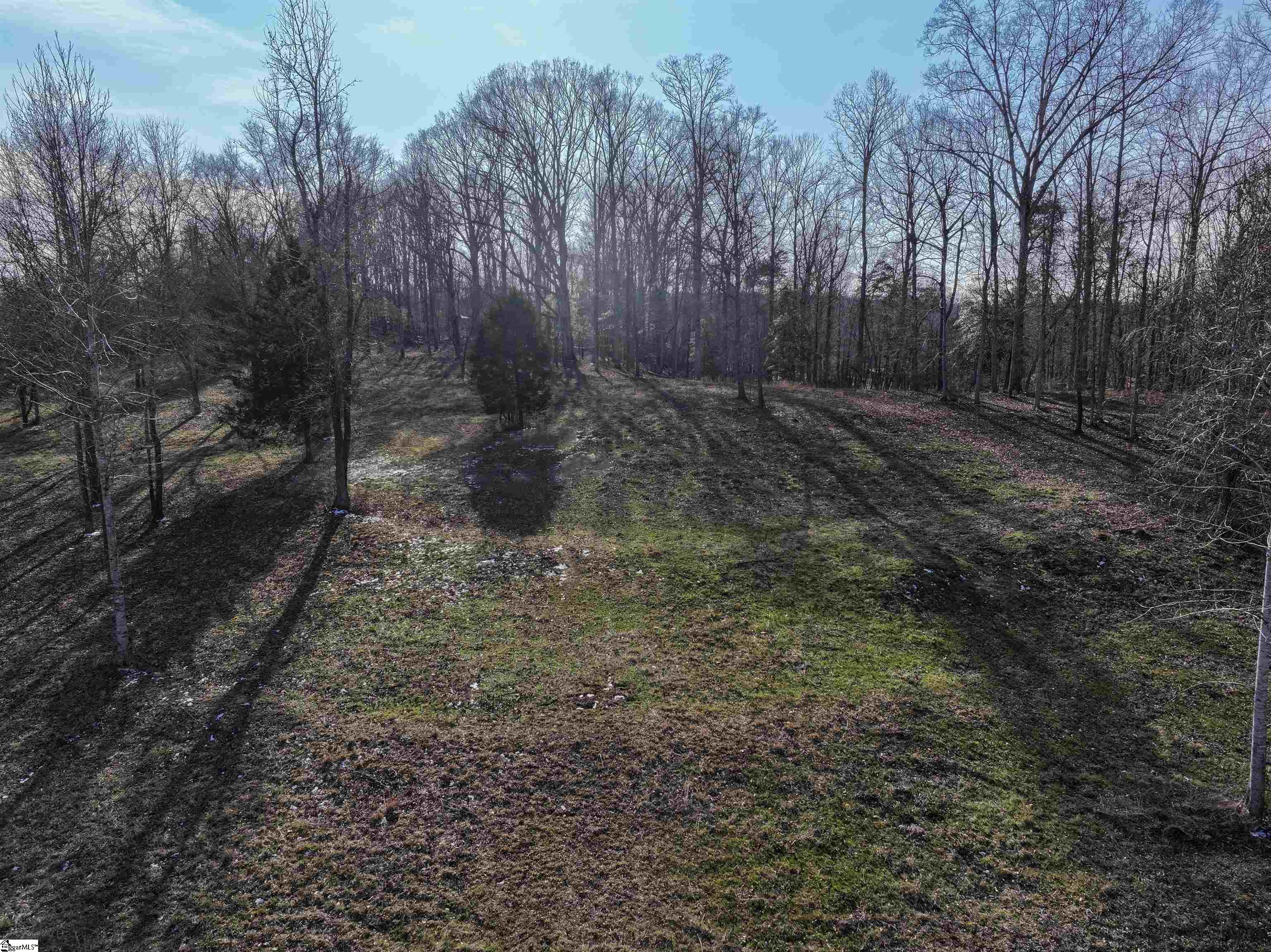 0 Wofford Road Woodruff, SC 29388 - Photo 7 of 7