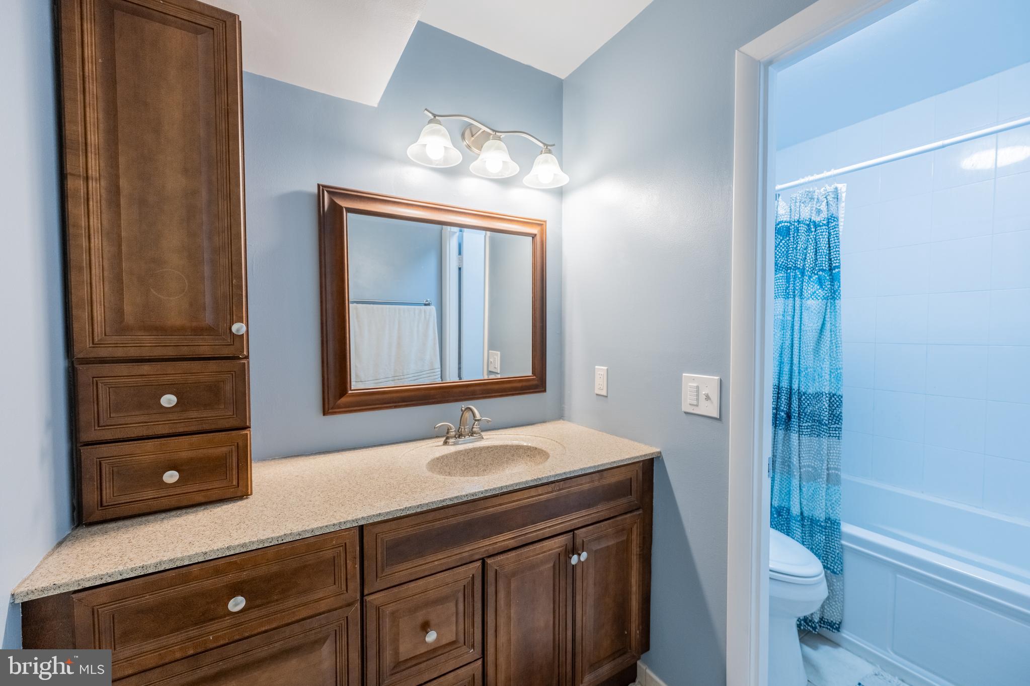 11917 Barrel Cooper Court Reston, VA 20191 - Photo 28 of 59 a bathroom with a sink a toilet and shower