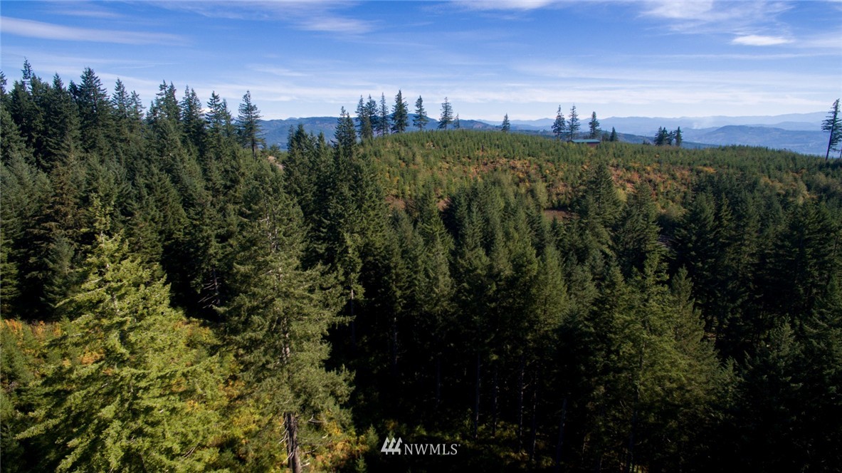 29 Freeman Road Kalama, WA 98625 - Photo 1 of 17 Gallery Image 1