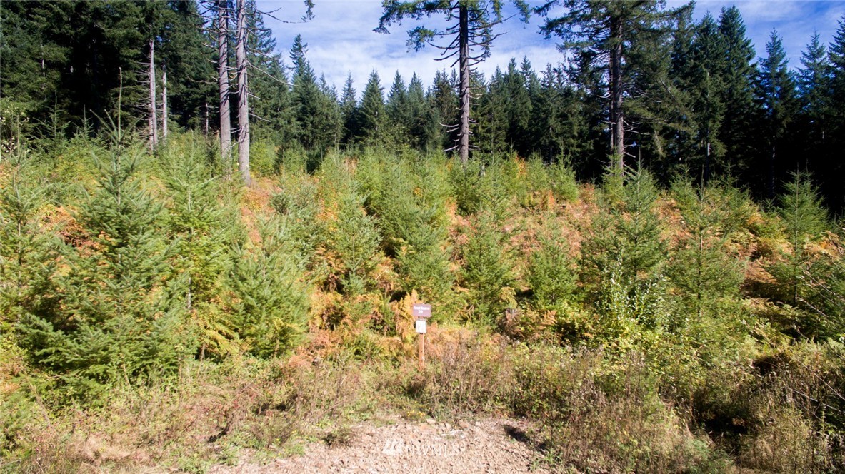 29 Freeman Road Kalama, WA 98625 - Photo 2 of 17 Gallery Image 2