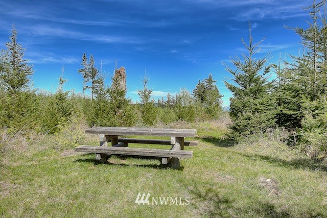 29 Freeman Road Kalama, WA 98625 - Photo 12 of 17 Gallery Image 12