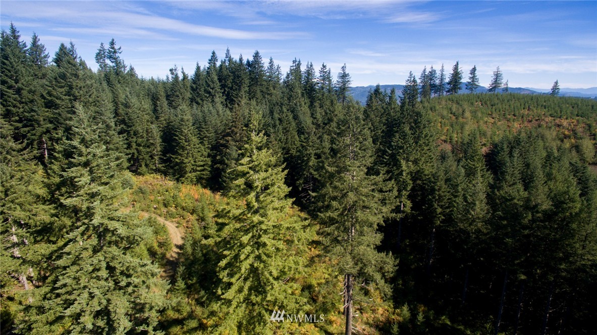29 Freeman Road Kalama, WA 98625 - Photo 17 of 17 Gallery Image 17