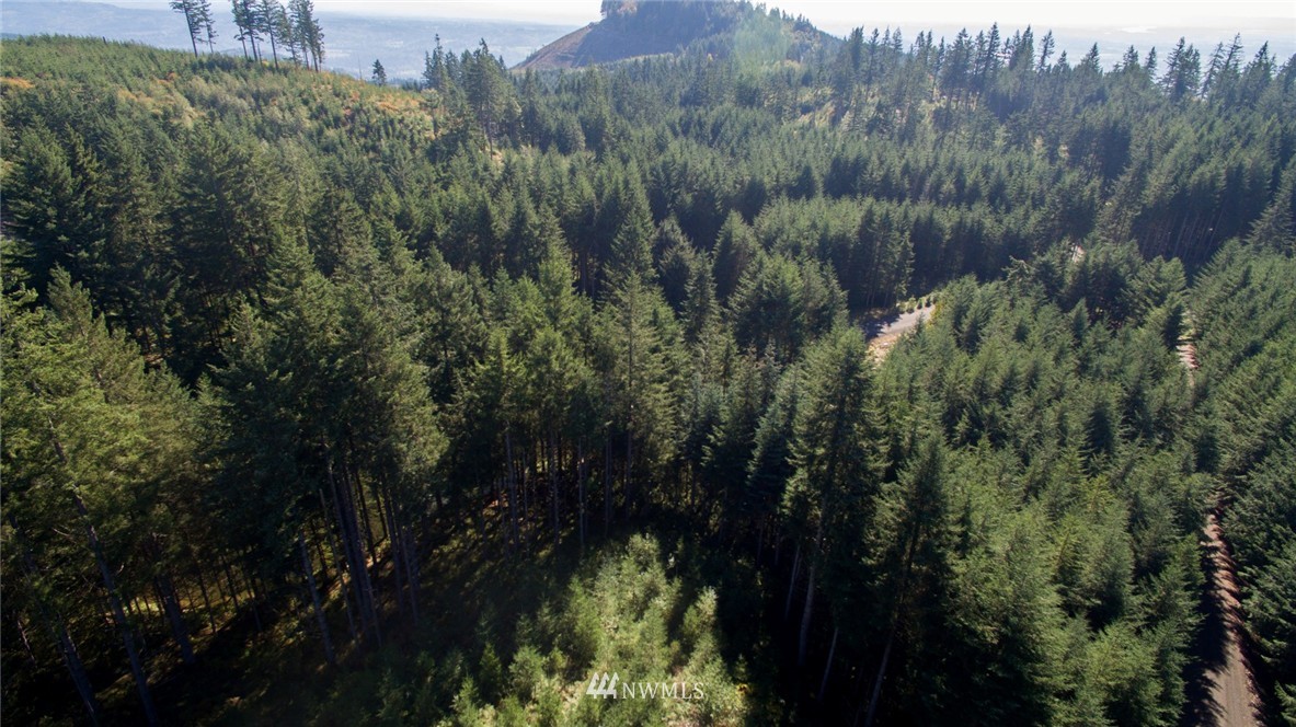 29 Freeman Road Kalama, WA 98625 - Photo 3 of 17 Gallery Image 3
