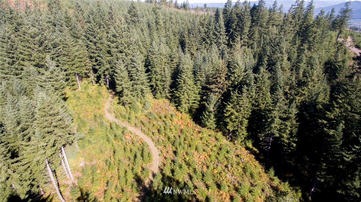 29 Freeman Road Kalama, WA 98625 - Photo 4 of 17 Gallery Image 4