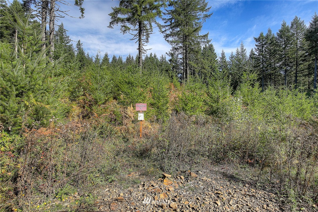 29 Freeman Road Kalama, WA 98625 - Photo 6 of 17 Gallery Image 6