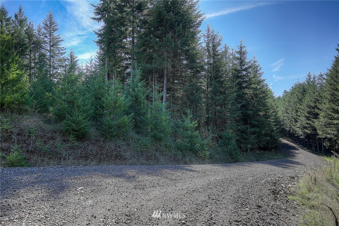 29 Freeman Road Kalama, WA 98625 - Photo 8 of 17 Gallery Image 8