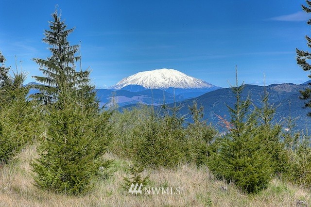 29 Freeman Road Kalama, WA 98625 - Photo 10 of 17 Gallery Image 10