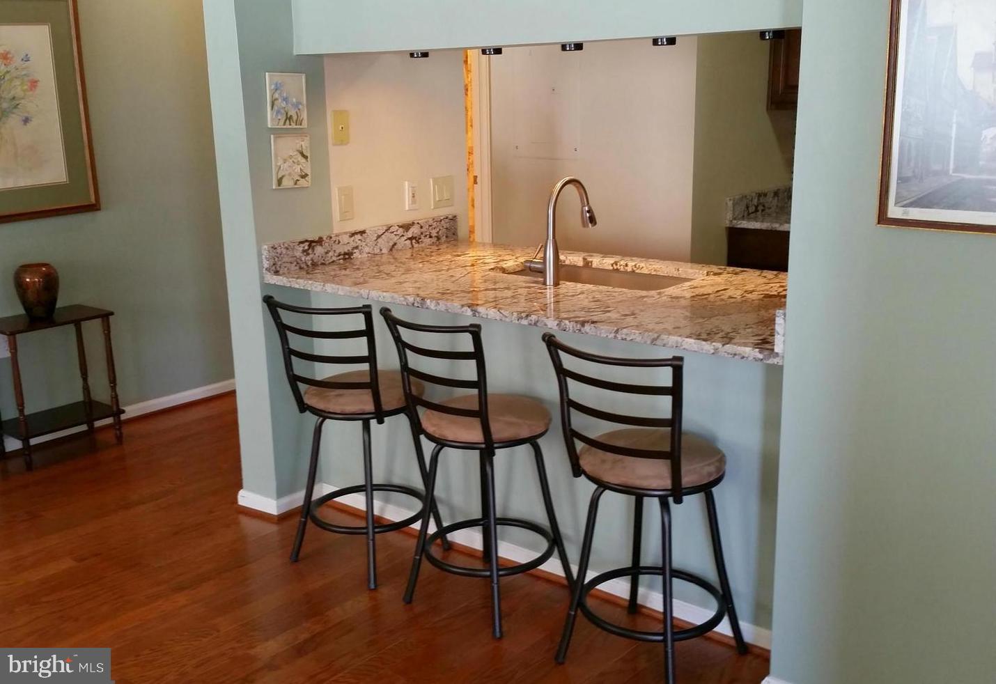 20952 Timber Ridge Terrace, Unit 104 Ashburn, VA 20147 - Photo 5 of 13 Breakfast Bar