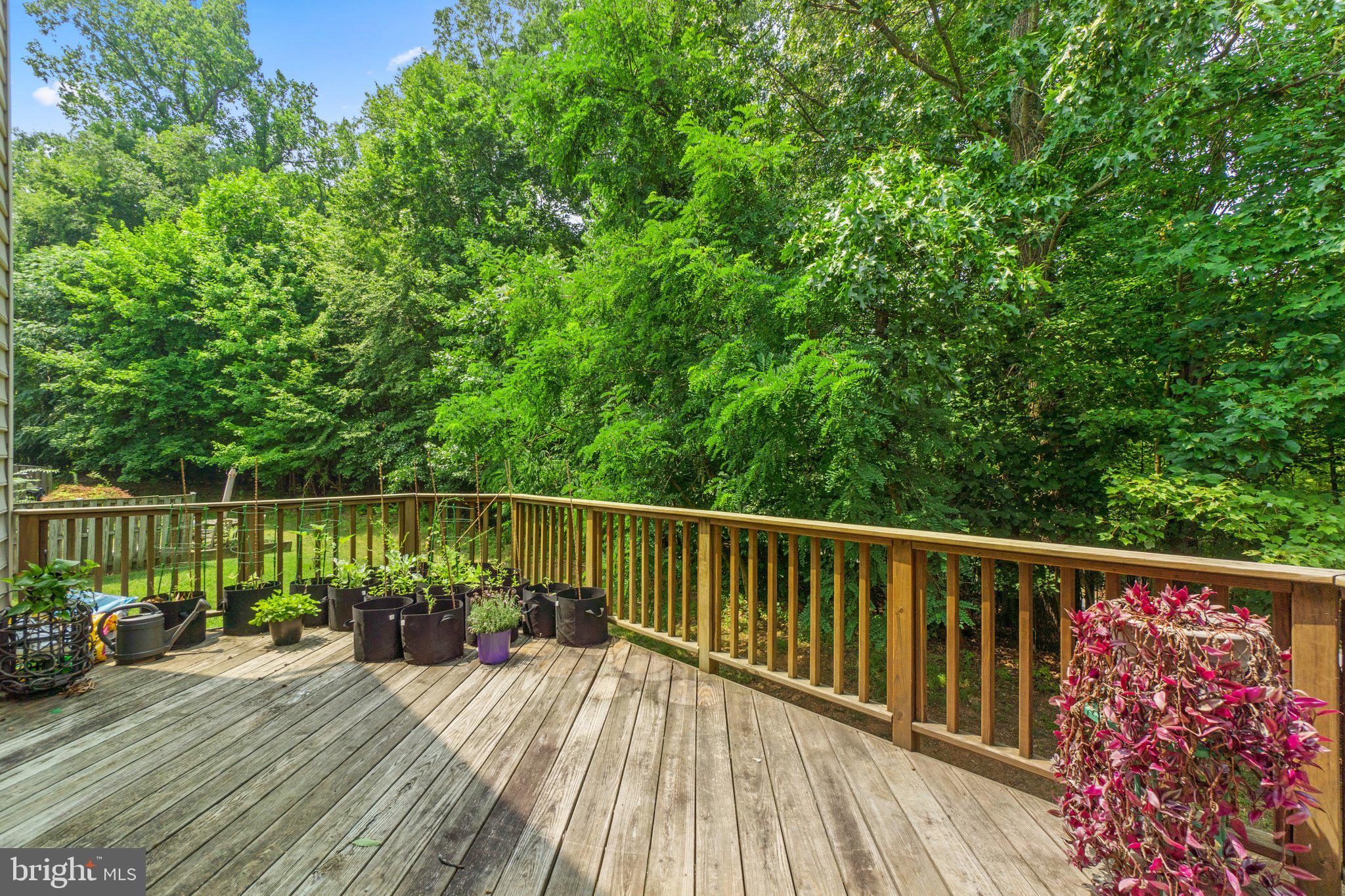 3708 Hope Commons Circle Frederick, MD 21704 - Photo 41 of 45