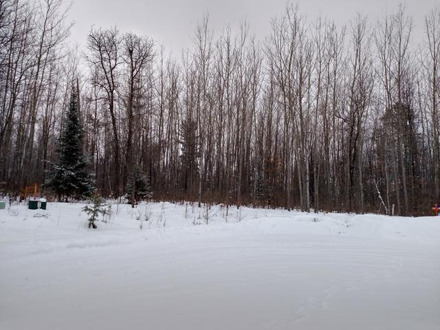 Lot 14 Pfeifer Road Tomahawk, WI 54487 - Photo 6 of 9 Gallery Image 6