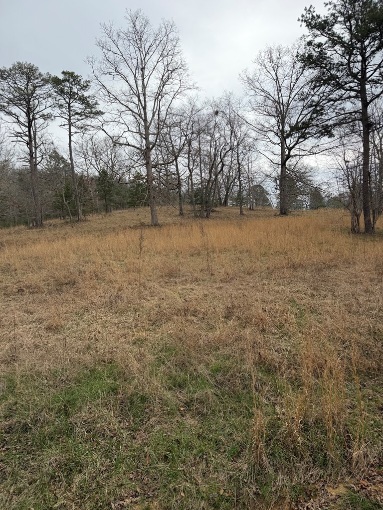 2-5 Country Lane Murphy, NC 28906 - Photo 2 of 7