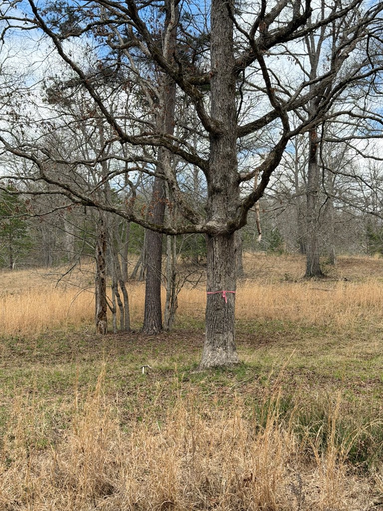 2-5 Country Lane Murphy, NC 28906 - Photo 4 of 7