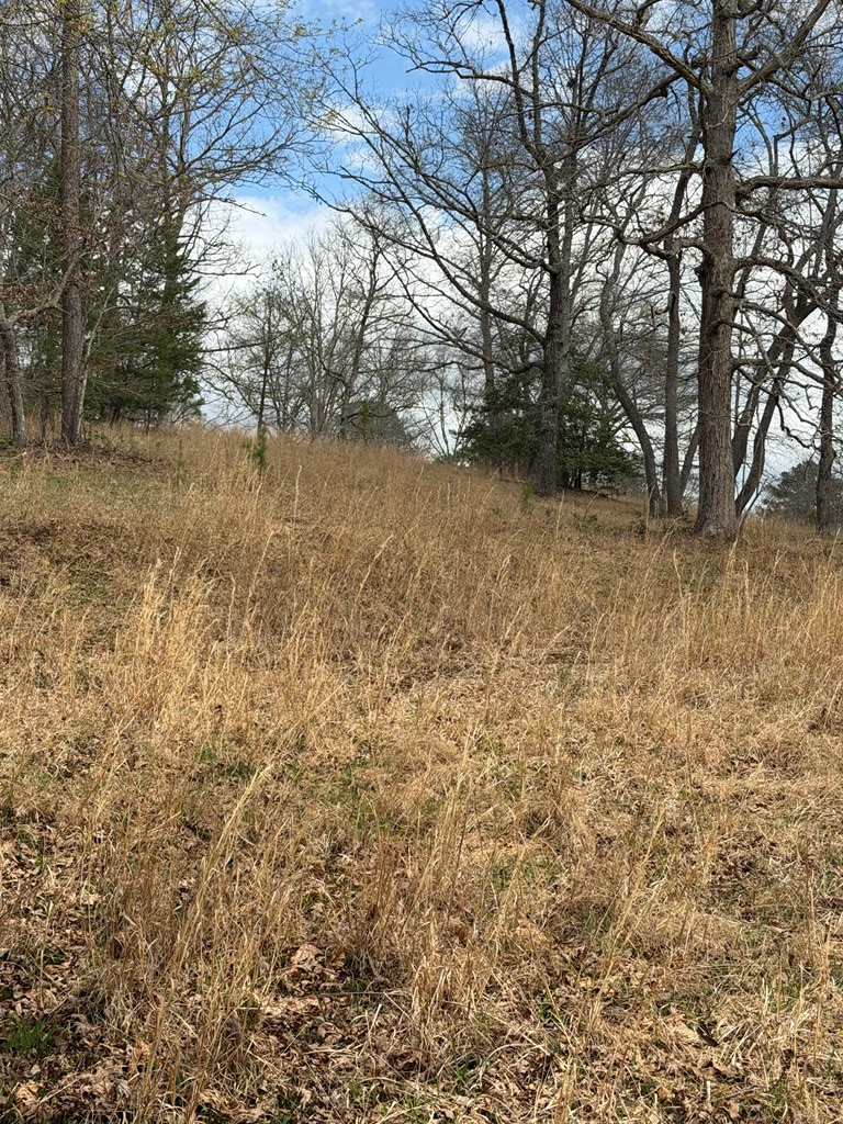 2-5 Country Lane Murphy, NC 28906 - Photo 5 of 7