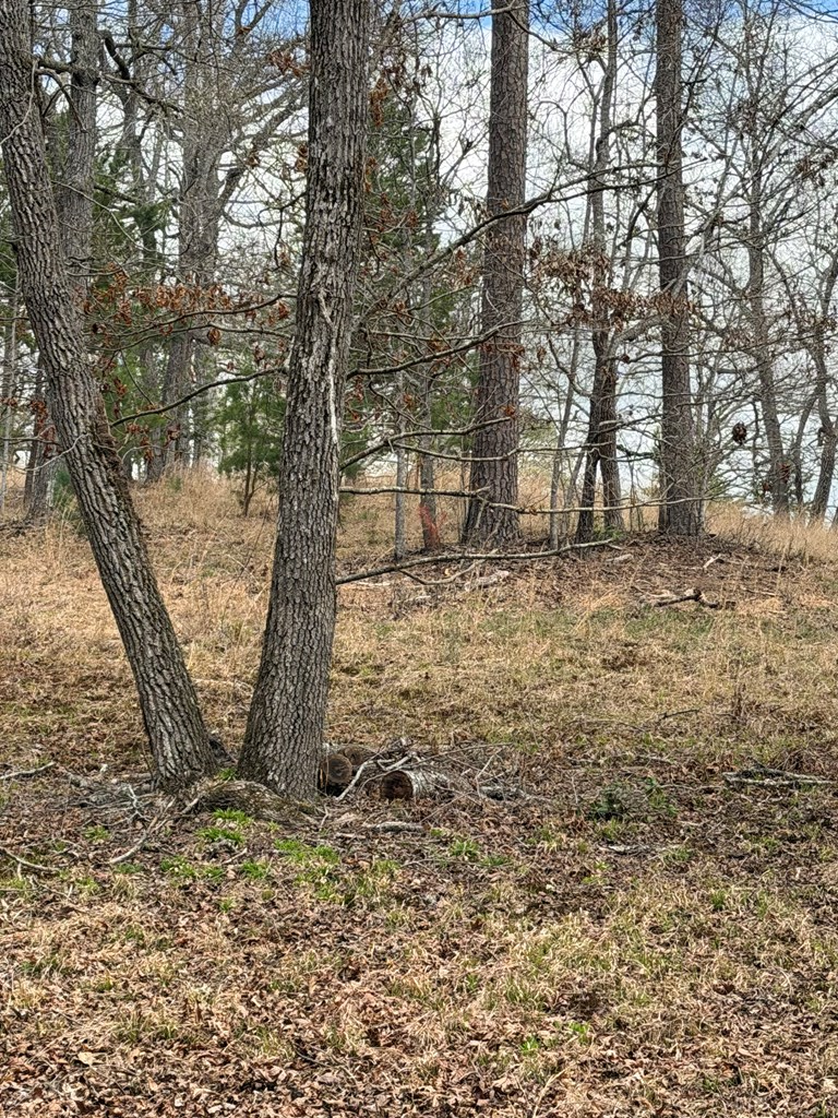 2-5 Country Lane Murphy, NC 28906 - Photo 6 of 7