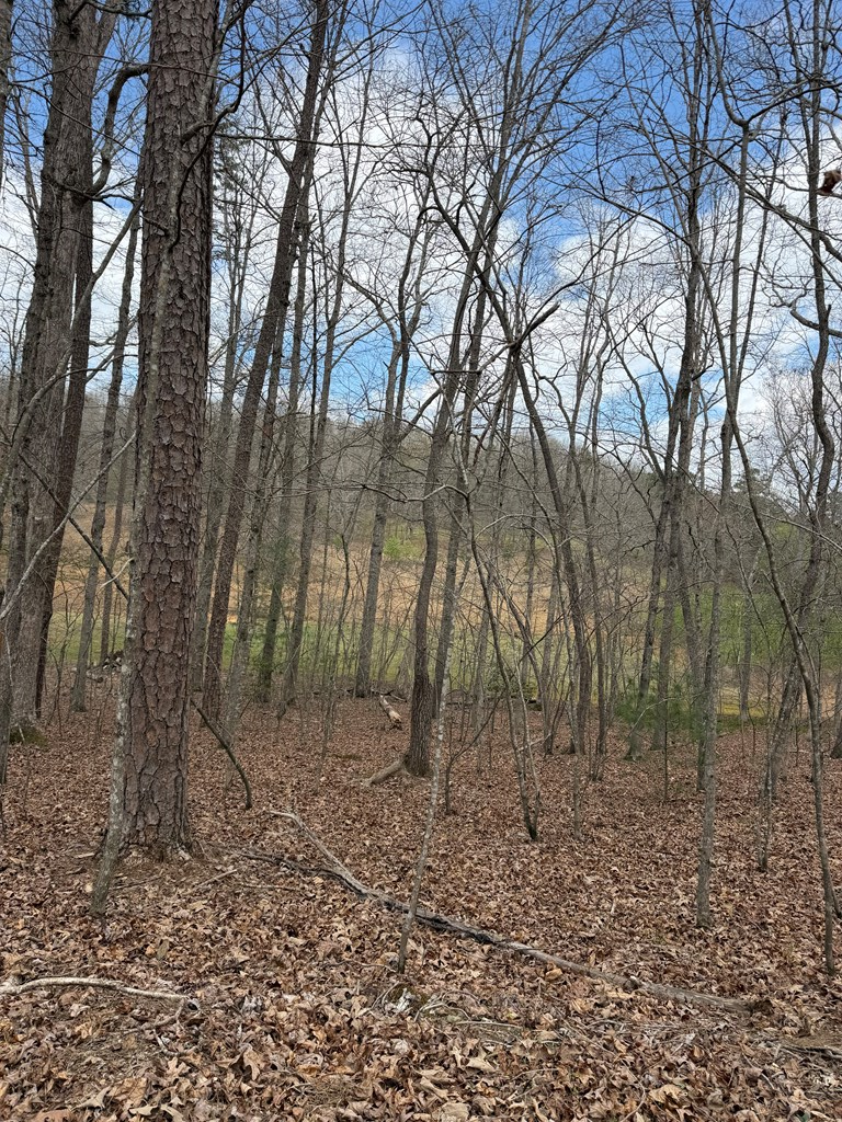 2-5 Country Lane Murphy, NC 28906 - Photo 7 of 7