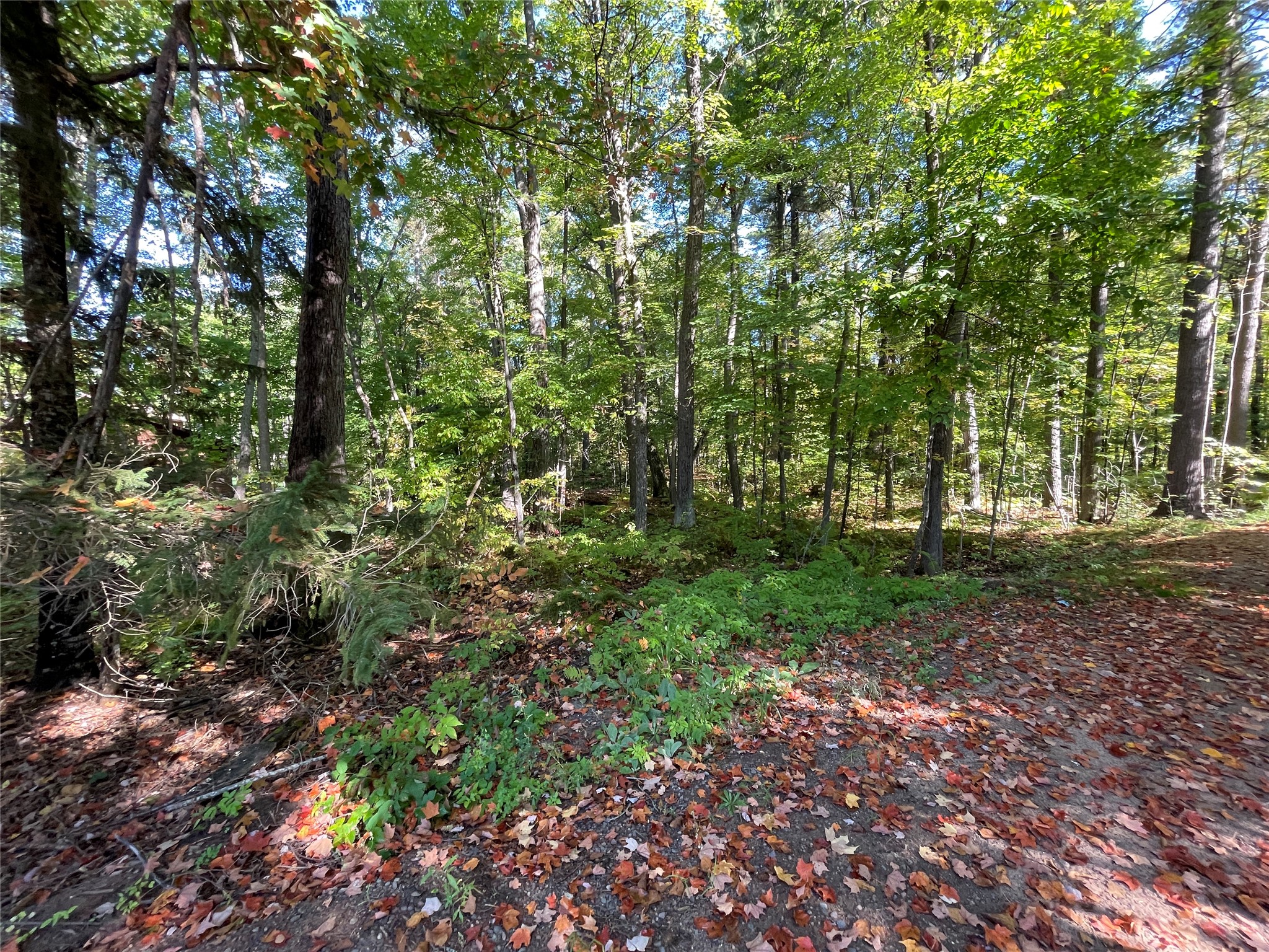 6073 North Elsie Road Stone Lake, WI 54876 - Photo 42 of 42