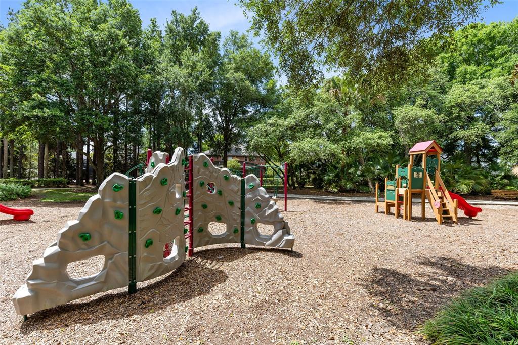 30139 Hackney Loop Mount Dora, FL 32757 - Photo 38 of 39