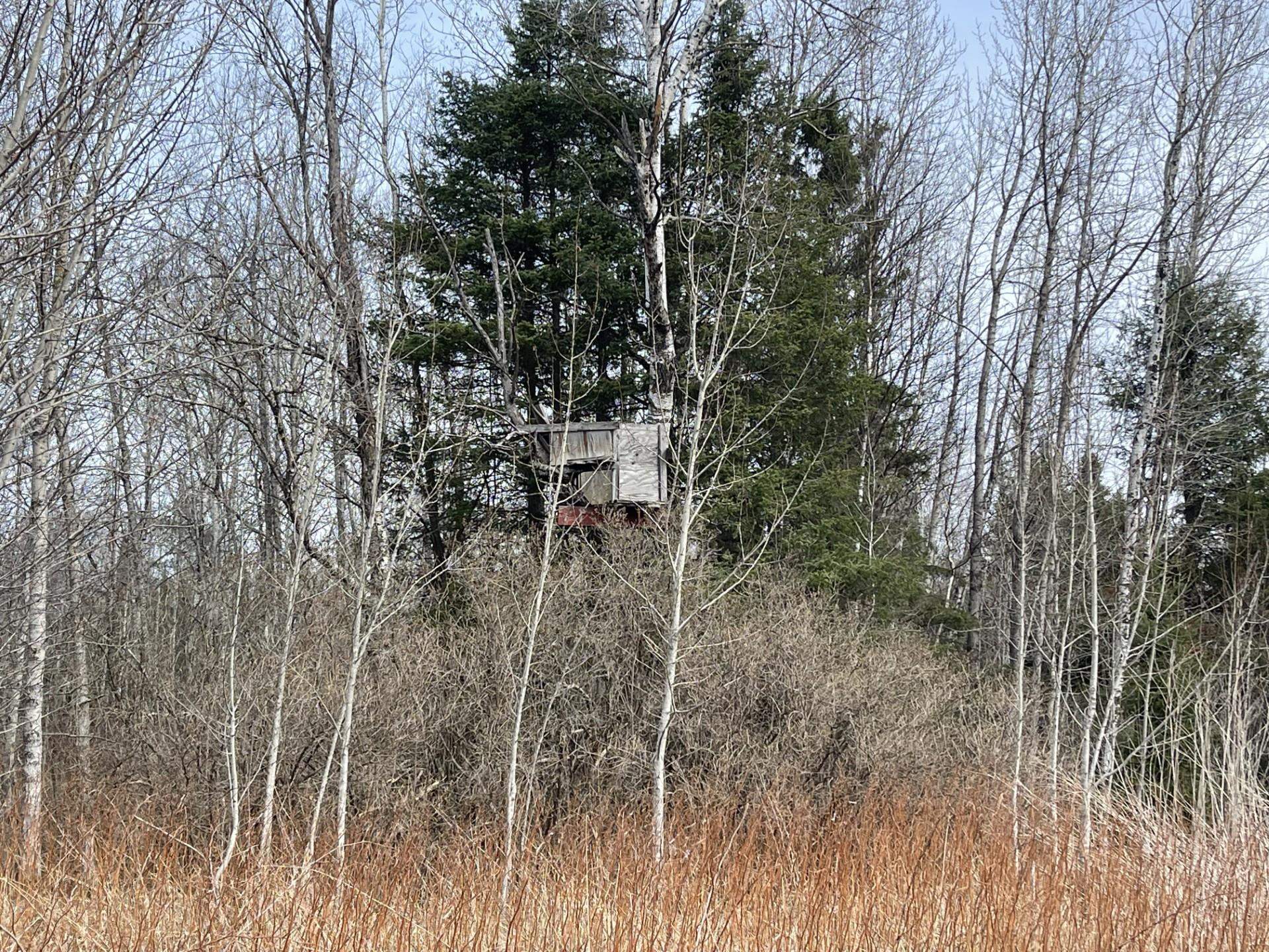 1572 Town Line Road Brimson, MN 55602 - Photo 24 of 39