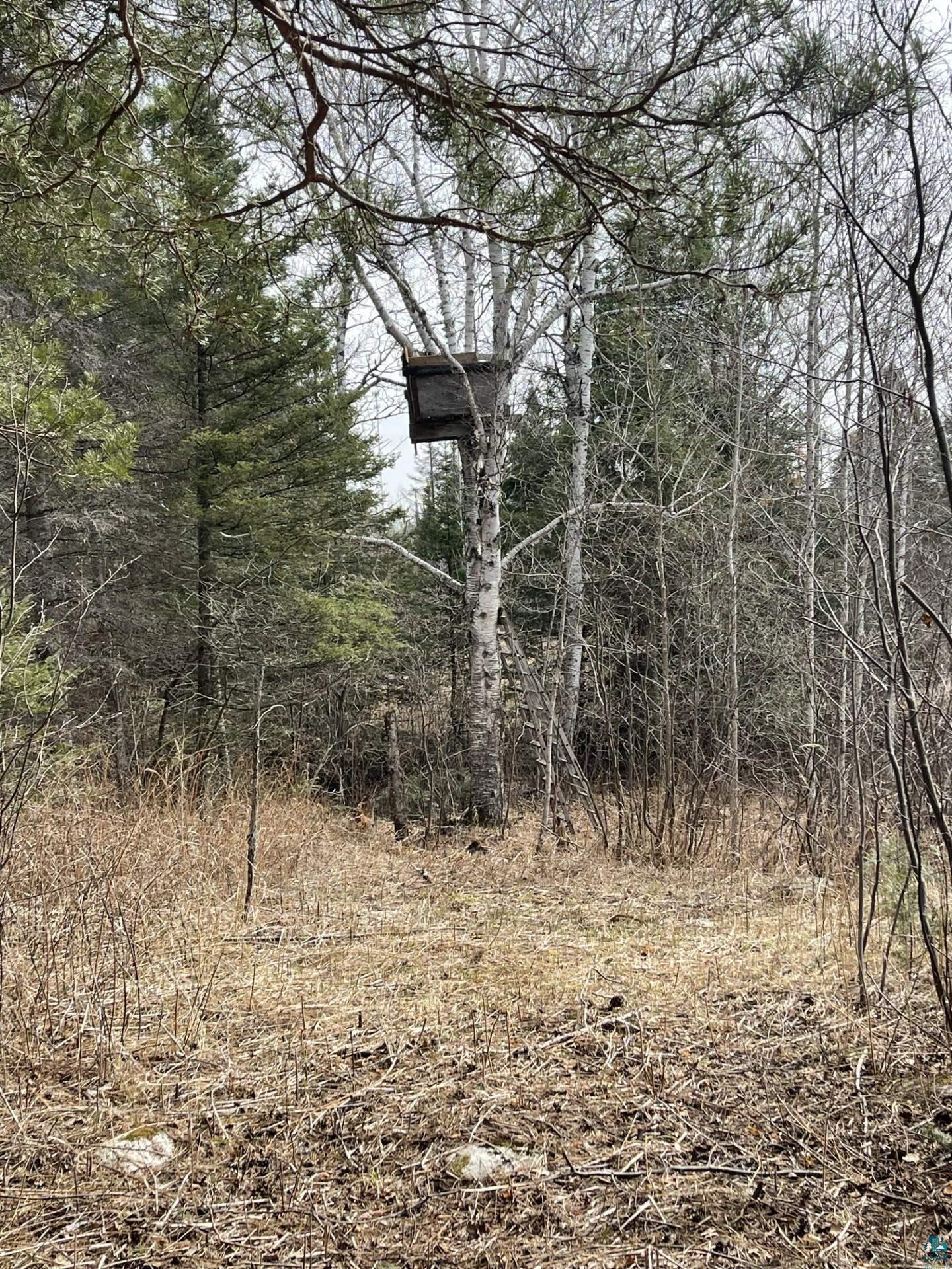 1572 Town Line Road Brimson, MN 55602 - Photo 25 of 39
