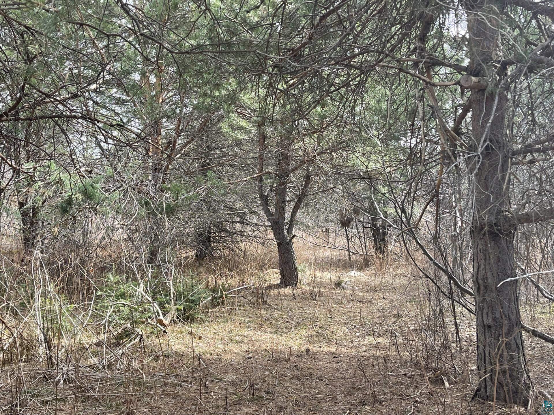 1572 Town Line Road Brimson, MN 55602 - Photo 26 of 39