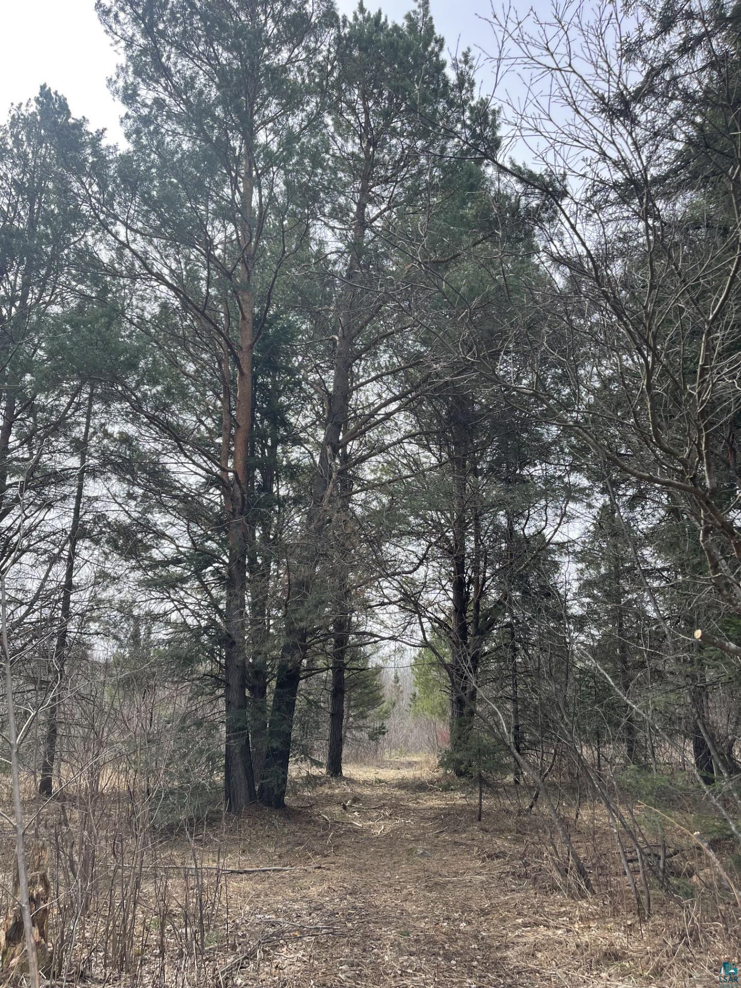 1572 Town Line Road Brimson, MN 55602 - Photo 27 of 39