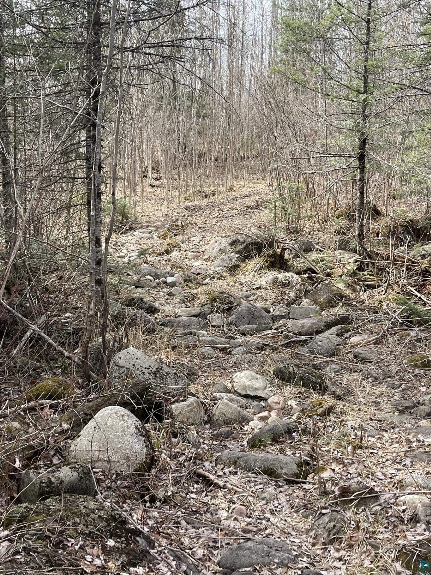 1572 Town Line Road Brimson, MN 55602 - Photo 29 of 39