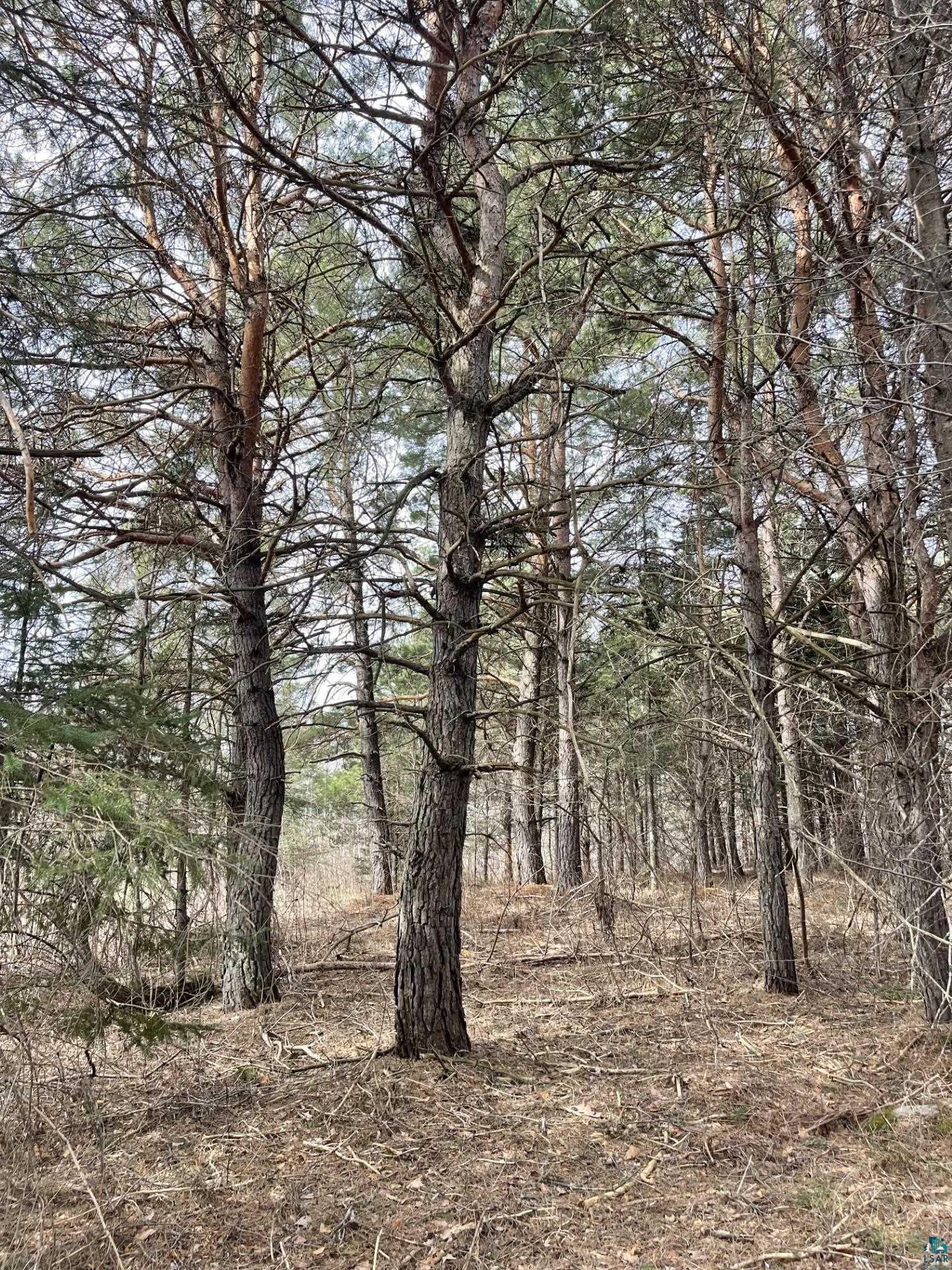 1572 Town Line Road Brimson, MN 55602 - Photo 34 of 39