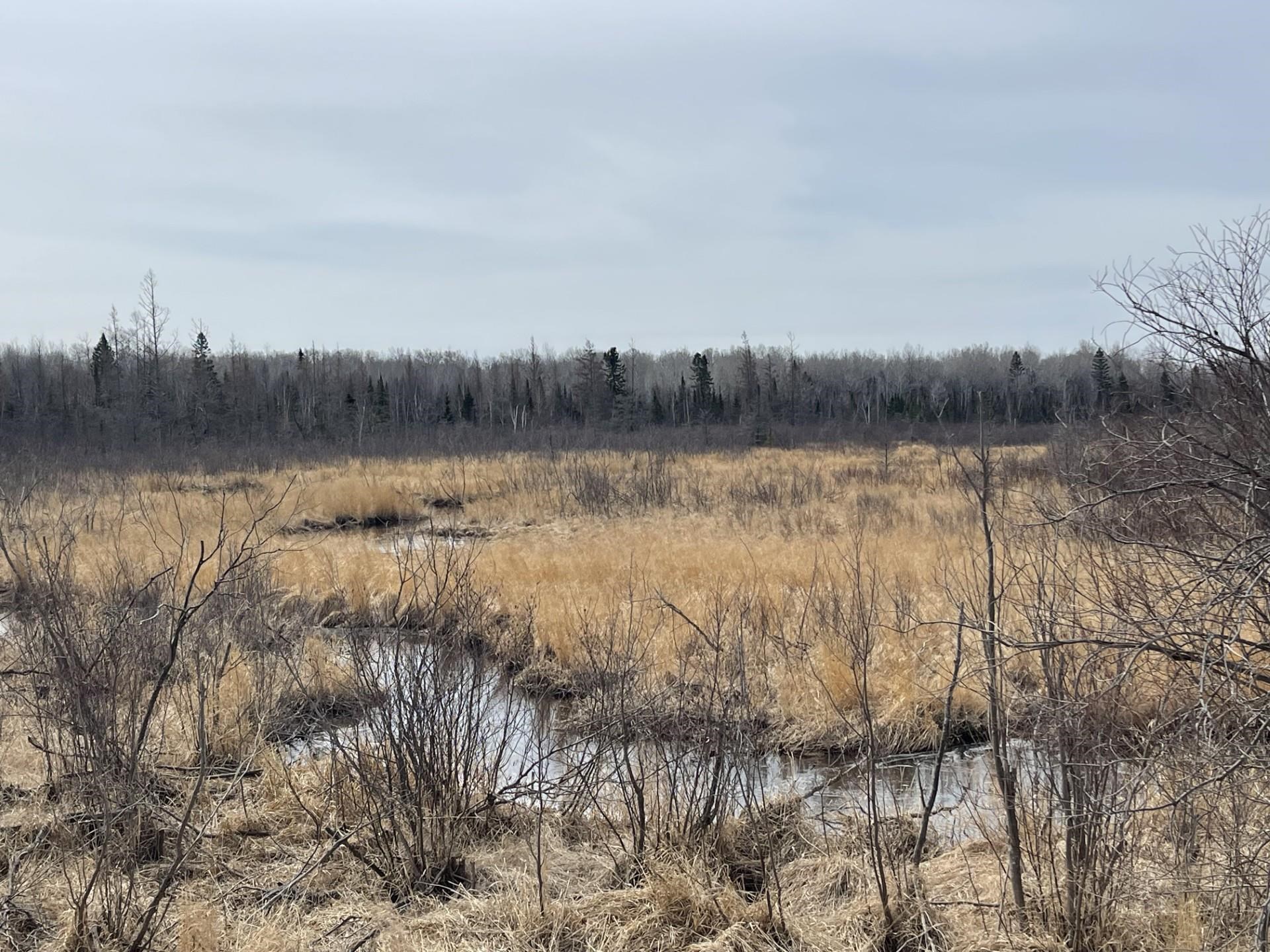 1572 Town Line Road Brimson, MN 55602 - Photo 35 of 39