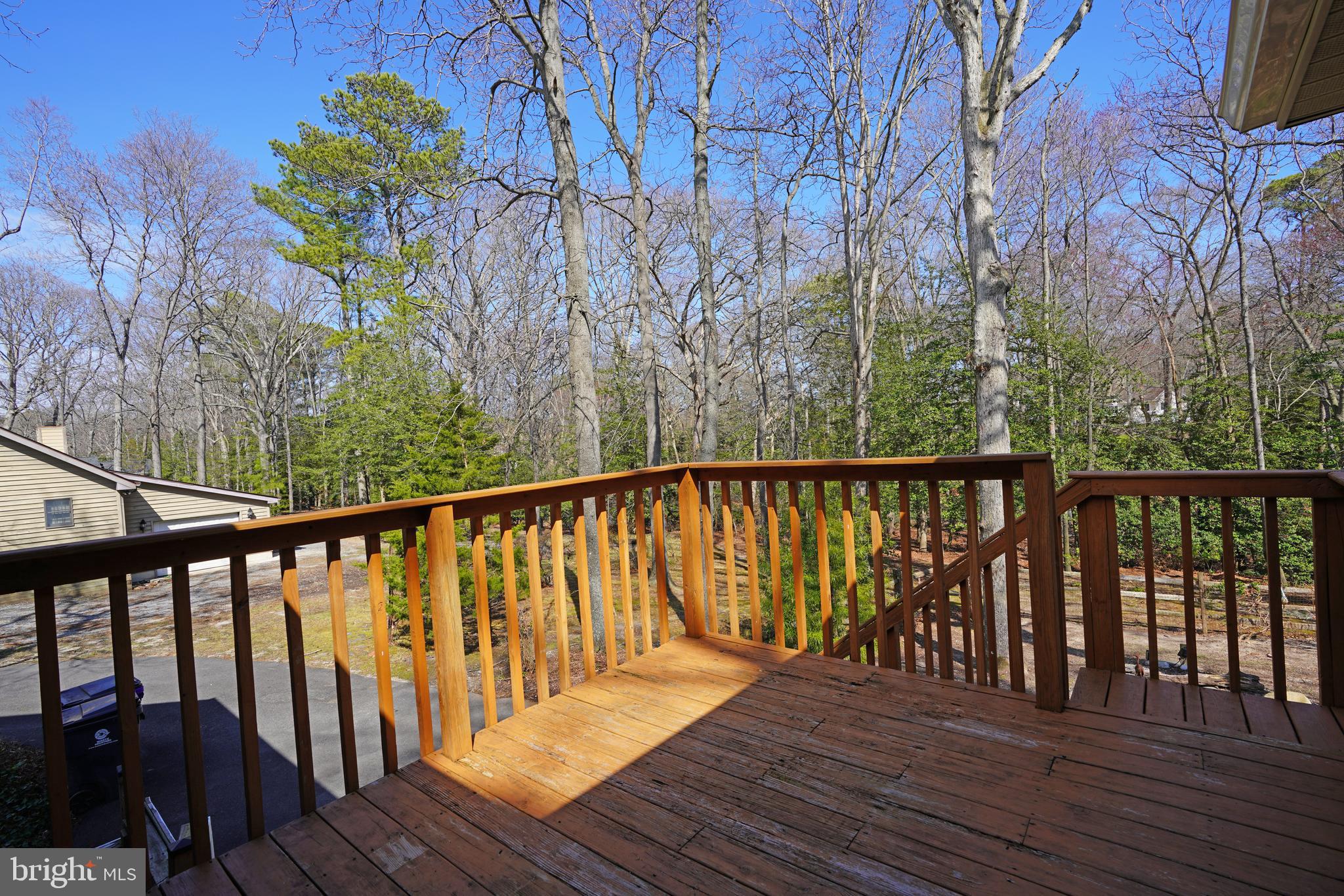 128 White Oak Road Rehoboth Beach, DE 19971 - Photo 37 of 43 Deck