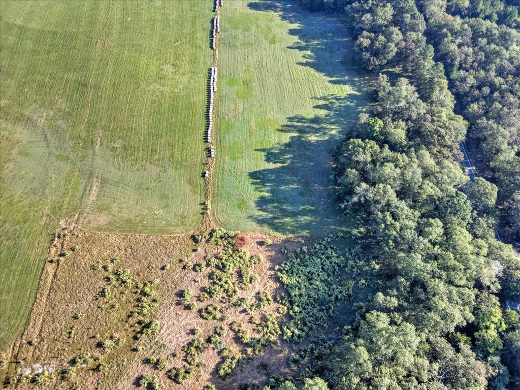 Lot 9 Cooks Bridge Road Aiken, SC 29805 - Photo 8 of 14