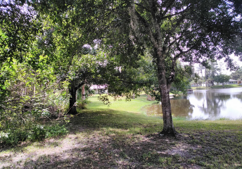 6113 Spring Garden Place Fort Pierce, FL 34951 - Photo 5 of 6 a view of a tree in a yard