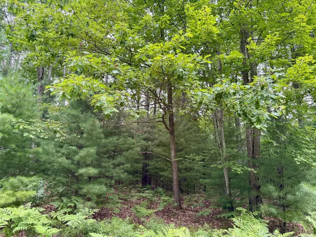 $15,000 | 6362 Cedar Trace, Stanwood, MI 49346