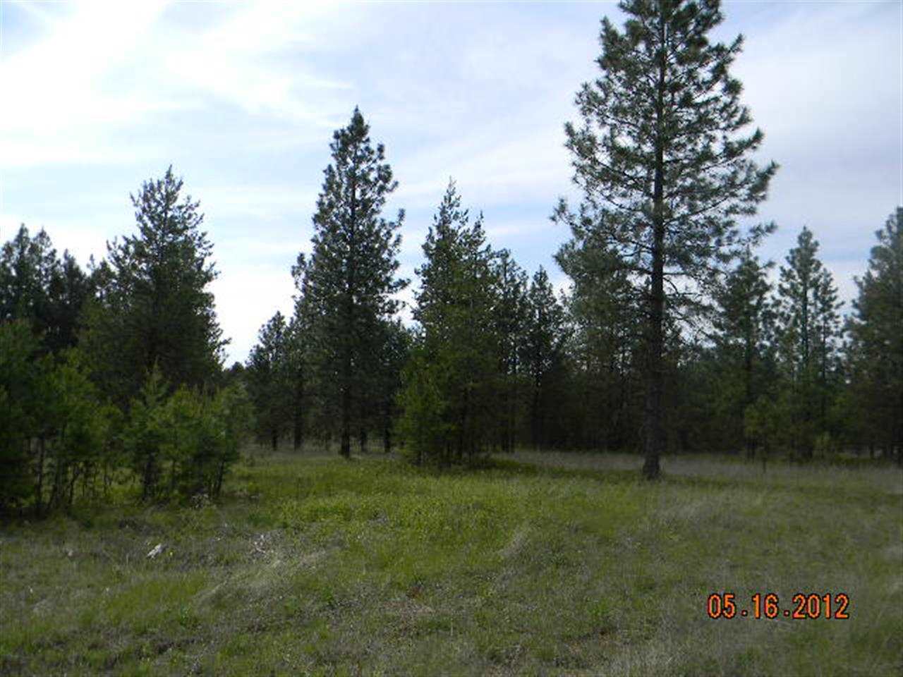 13210 East Bridges Road Elk, WA 99009 - Photo 1 of 7