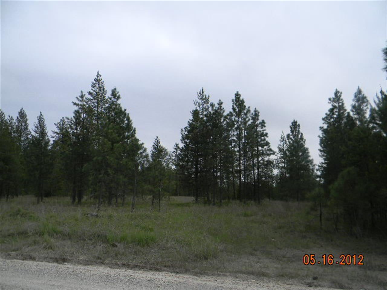 13210 East Bridges Road Elk, WA 99009 - Photo 2 of 7