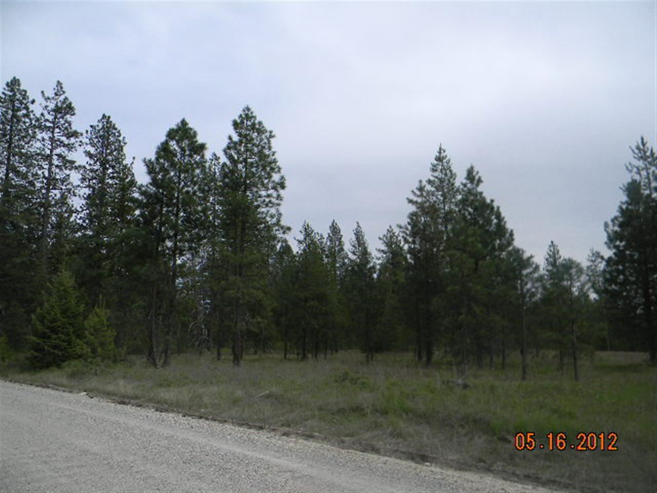 13210 East Bridges Road Elk, WA 99009 - Photo 3 of 7
