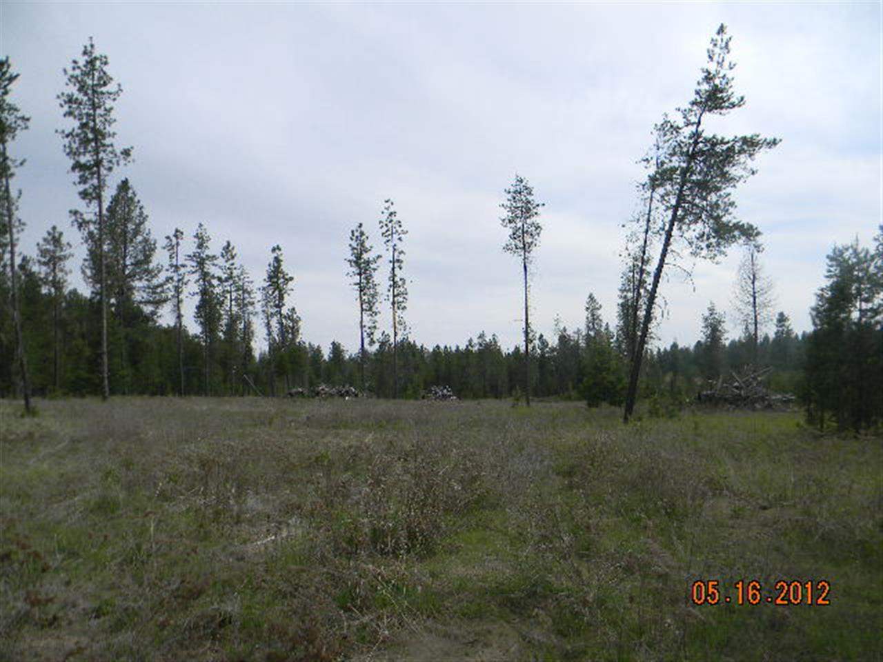 13210 East Bridges Road Elk, WA 99009 - Photo 4 of 7