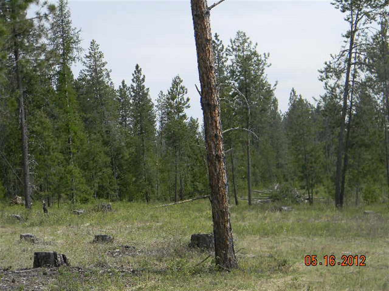 13210 East Bridges Road Elk, WA 99009 - Photo 5 of 7
