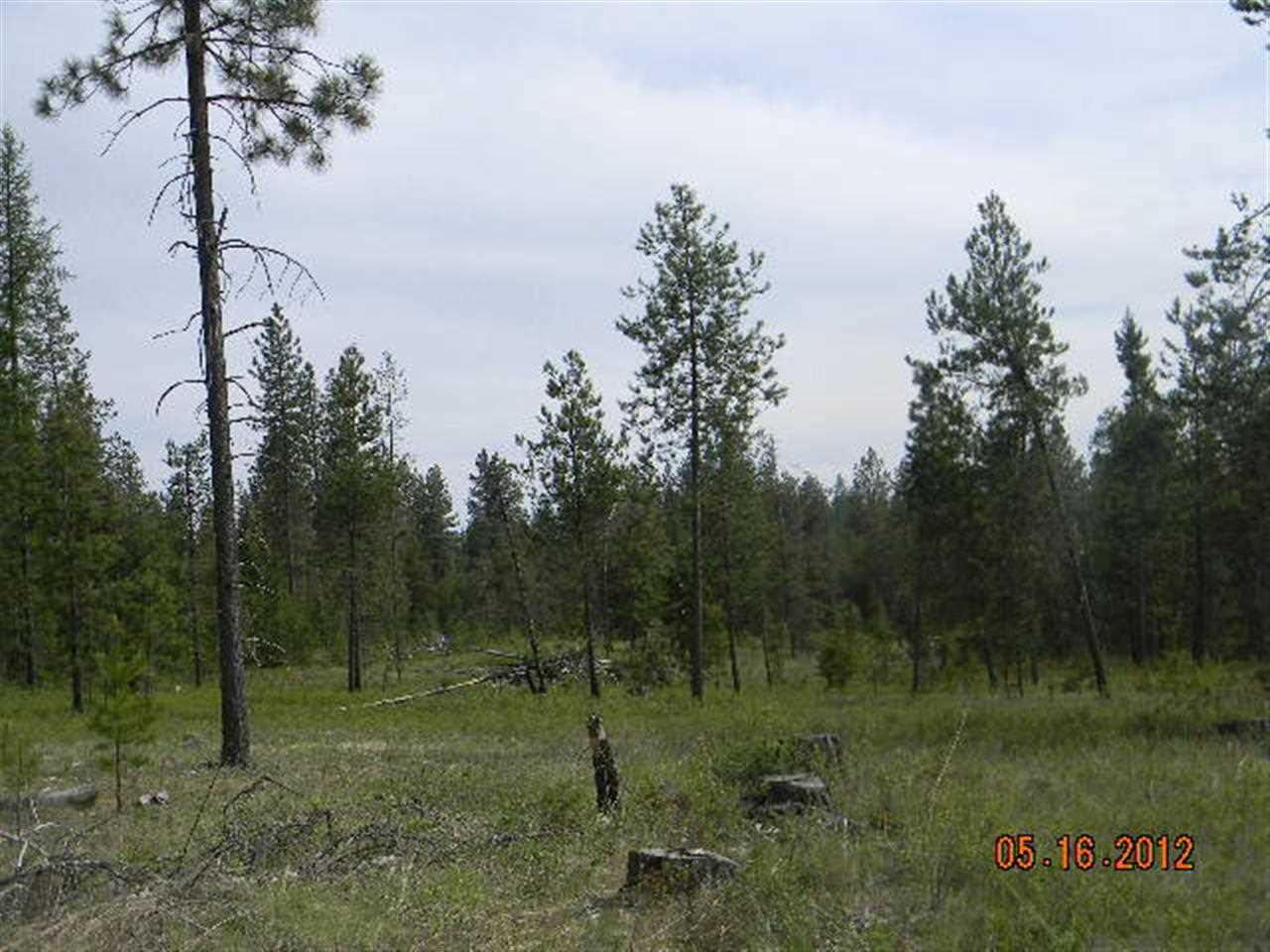 13210 East Bridges Road Elk, WA 99009 - Photo 7 of 7