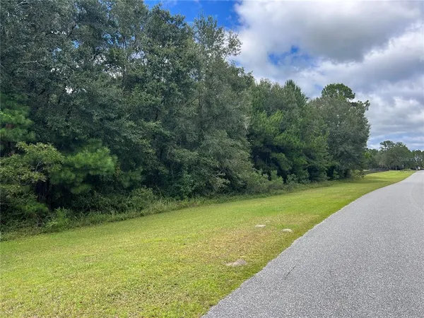 $110,000 | Tbd Northwest 145th Avenue, Williston, FL 32696